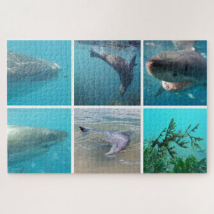 Underwater Ocean Life Animals, 1014 pieces Jigsaw Puzzle