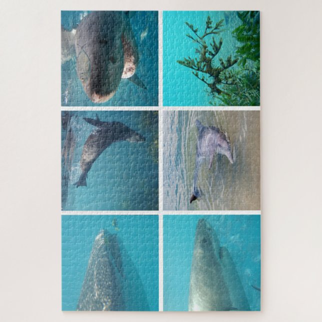 Underwater Ocean Life Animals, 1014 pieces Jigsaw Puzzle (Vertical)