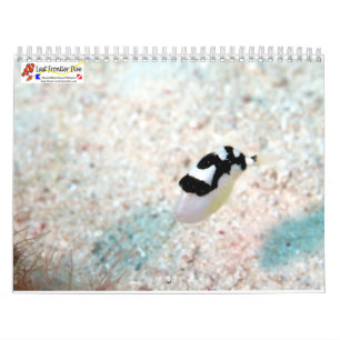 Underwater of Siquijor S- L size Calendar