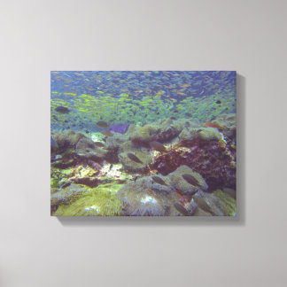 Underwater Paradise Similan Islands Thailand Canvas Print