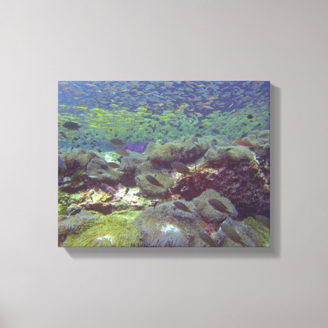 Underwater Paradise Similan Islands Thailand Canvas Print (Front)