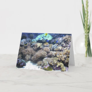 Underwater photography - colorful tropical fish card