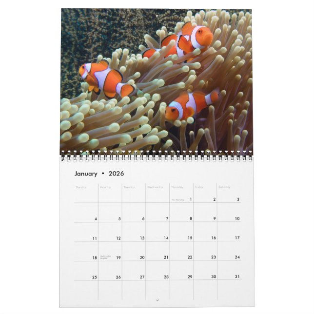 Underwater Photos 2012 Calendar (Jan 2026)
