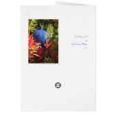 Underwater Plant Garden Blank Art Card (Back)