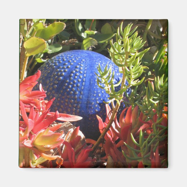 Underwater Plant Garden with Orb Magnet (Front)