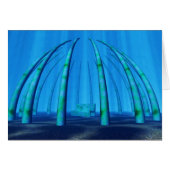 underwater resting place (Front Horizontal)