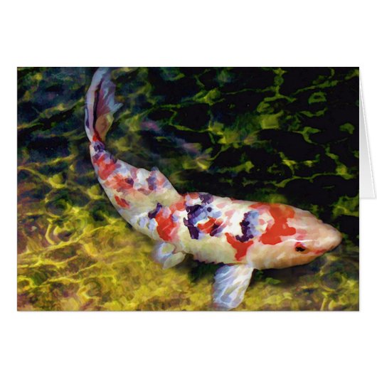 Underwater Sanke Koi Cards (Front Horizontal)