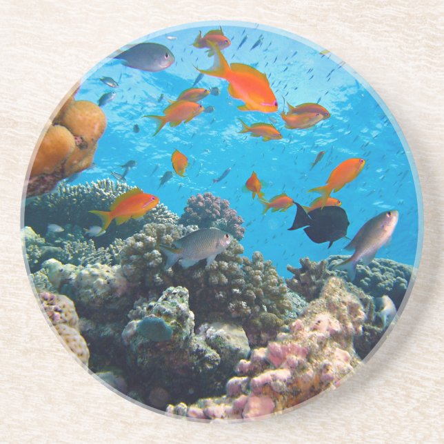 Underwater Scene Coaster (Front)