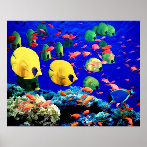 Underwater Sea Coral  Tropical Fish Poster
