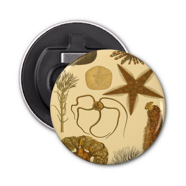 Underwater Sea Creatures Bottle Opener (Front)