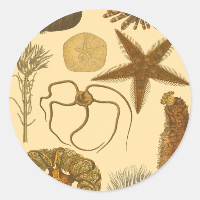 Underwater Sea Creatures Classic Round Sticker (Front)