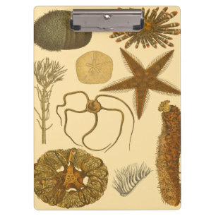 Underwater Sea Creatures Clipboard