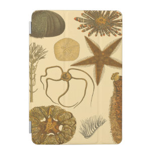 Underwater Sea Creatures iPad Mini Cover