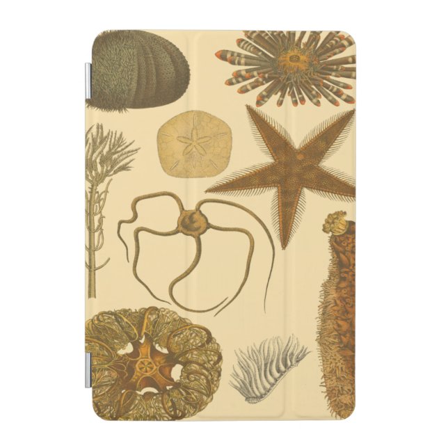 Underwater Sea Creatures iPad Mini Cover (Front)