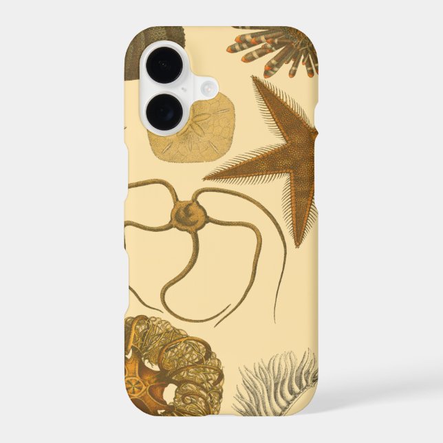 Underwater Sea Creatures Iphone Case (Back)