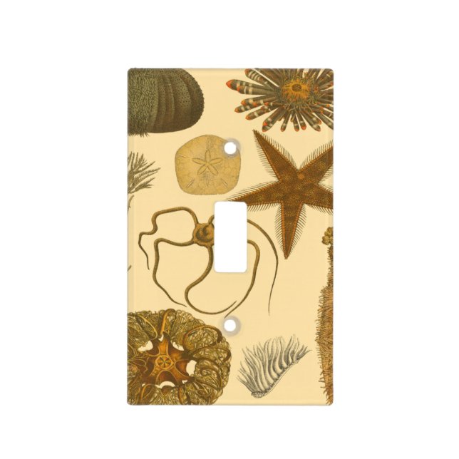 Underwater Sea Creatures Light Switch Cover (Front)