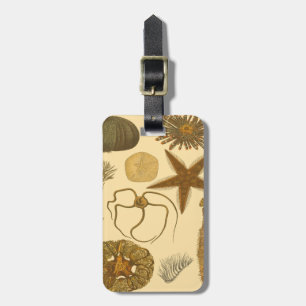 Underwater Sea Creatures Luggage Tag