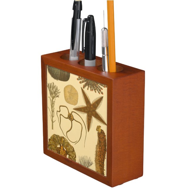Underwater Sea Creatures Pencil Holder (In Situ)