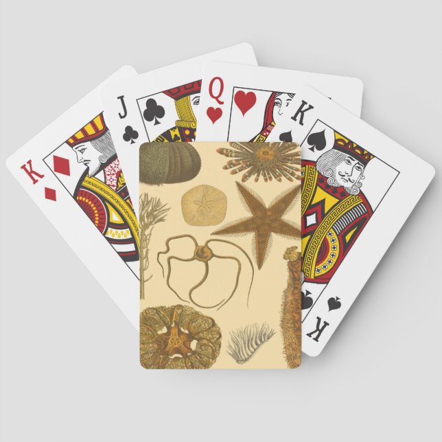 Underwater Sea Creatures Poker Cards (Back)