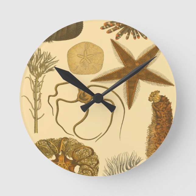 Underwater Sea Creatures Round Clock (Front)