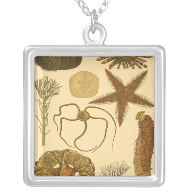 Underwater Sea Creatures Silver Plated Necklace (Front)