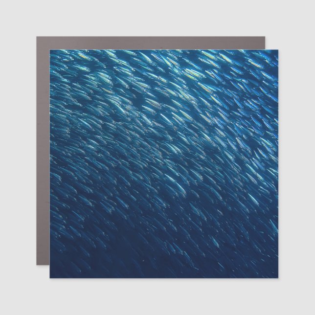 Underwater Sea Fish School Abstract Car Magnet (Front)