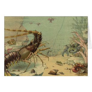 Underwater Sea Life Shrimp, Vintage Ocean Animals