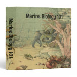 Underwater Sea Life Shrimp, Vintage Ocean Animals 3 Ring Binder