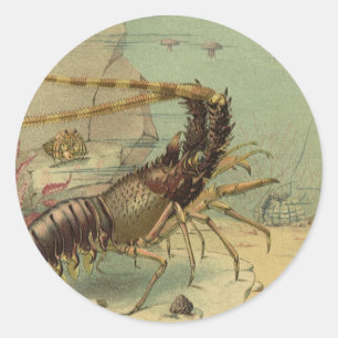 Underwater Sea Life Shrimp, Vintage Ocean Animals Classic Round Sticker
