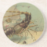 Underwater Sea Life Shrimp, Vintage Ocean Animals Drink Coaster
