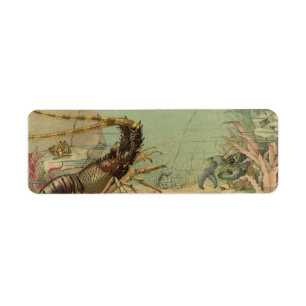 Underwater Sea Life Shrimp, Vintage Ocean Animals Label