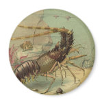 Underwater Sea Life Shrimp, Vintage Ocean Animals Magnet