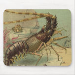 Underwater Sea Life Shrimp, Vintage Ocean Animals Mouse Pad