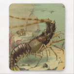 Underwater Sea Life Shrimp, Vintage Ocean Animals Mouse Pad