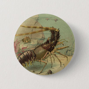 Underwater Sea Life Shrimp, Vintage Ocean Animals Pinback Button
