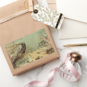 Underwater Sea Life Shrimp, Vintage Ocean Animals Rectangular Sticker