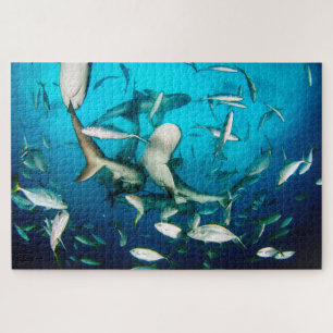 Underwater Shark Frenzy 20"x30" Jigsaw Puzzle