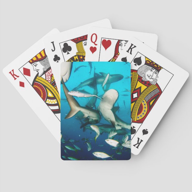 Underwater Shark Frenzy Poker Cards (Back)