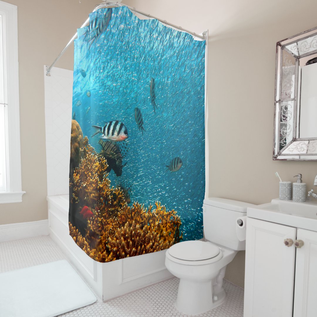 Underwater Shower Curtain With Coral And Fish Zazzle