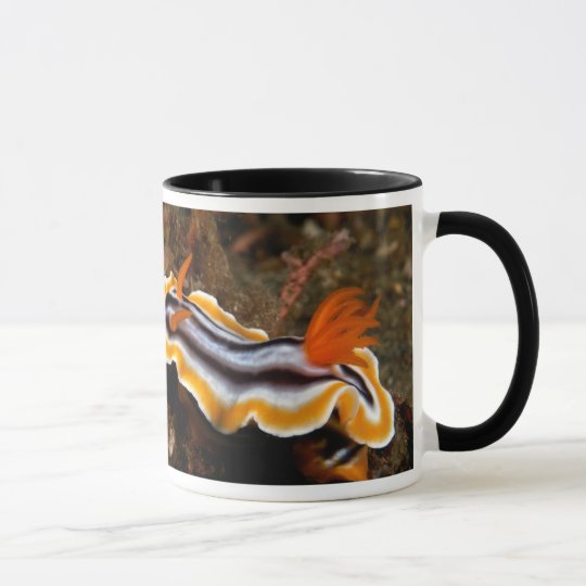 Underwater Snail Mug