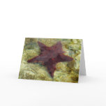 Underwater Starfish in the Bahamas Card