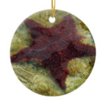 Underwater Starfish in the Bahamas Ceramic Ornament