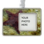 Underwater Starfish in the Bahamas Christmas Ornament