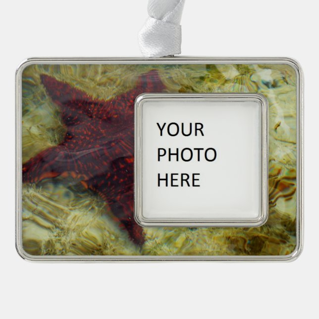 Underwater Starfish in the Bahamas Christmas Ornament (Front)