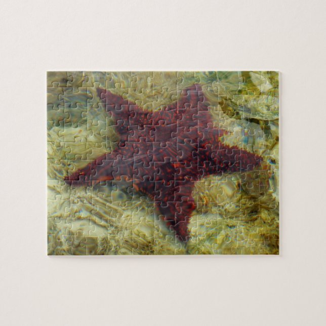 Underwater Starfish in the Bahamas Jigsaw Puzzle (Horizontal)