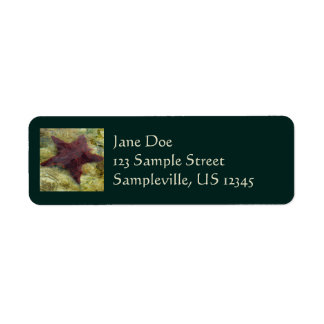 Underwater Starfish in the Bahamas Label