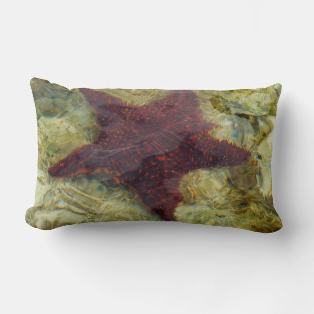 Underwater Starfish in the Bahamas Lumbar Pillow (Front)