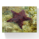 Underwater Starfish in the Bahamas Paperweight
