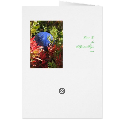 Underwater Succulent Plant Garden Art Cards (Back)