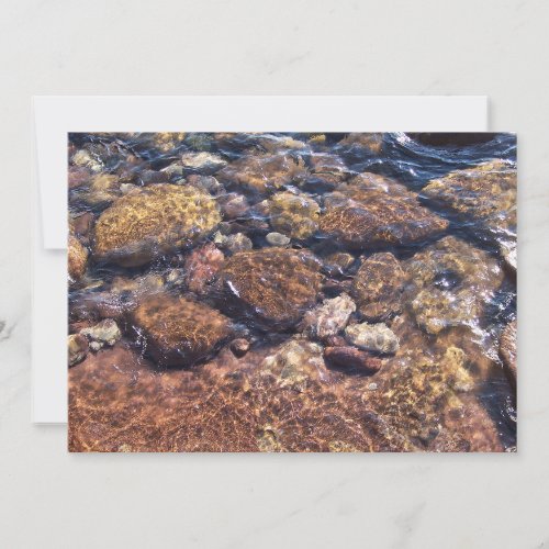 Underwater Thank You Card